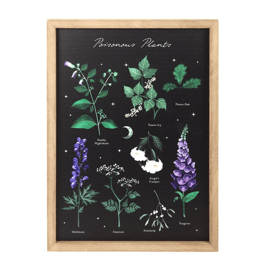Framed poster of poisonous plants with a black background