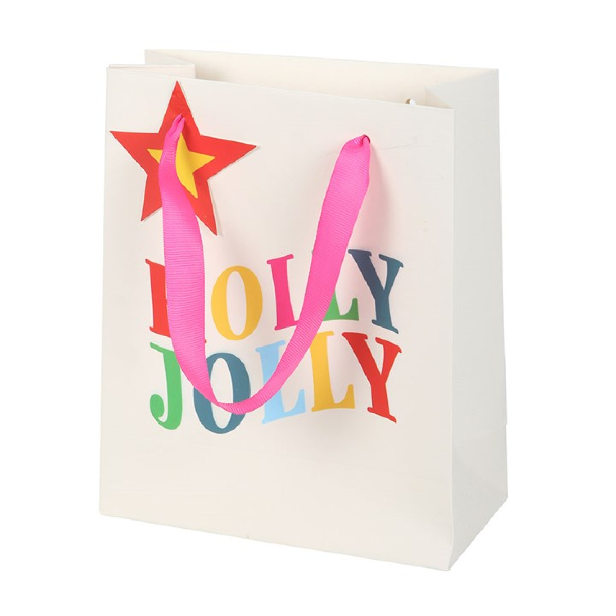 23cm Holly Jolly Gift Bag N/A
