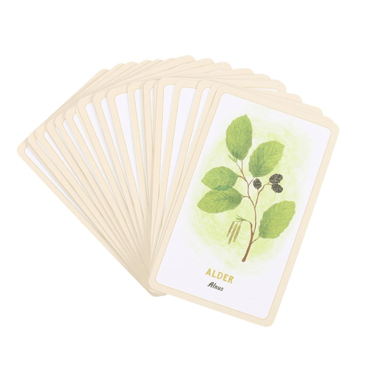Forest Magic Oracle Cards N/A