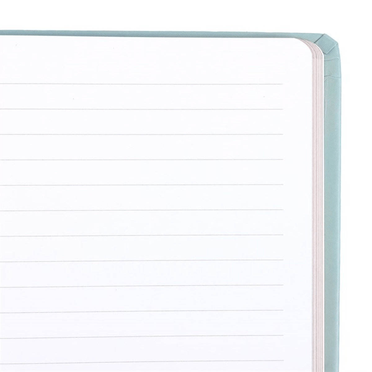 The Star Vintage Tarot A5 Notebook N/A