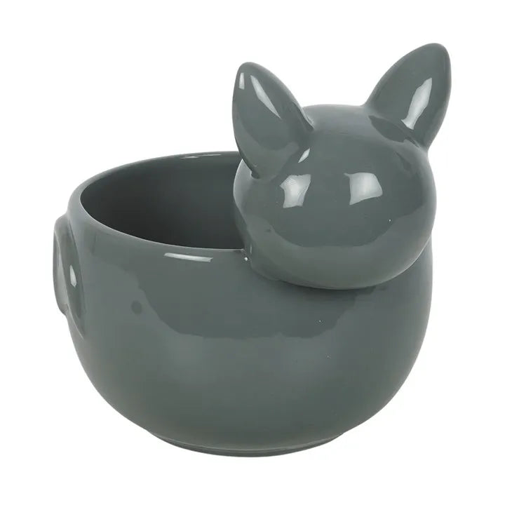 Cute Bat Bowl