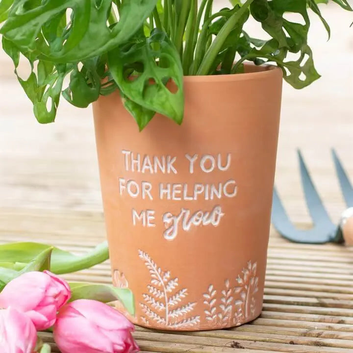 Terra cotta pot with engraved message and plant on a wooden surface