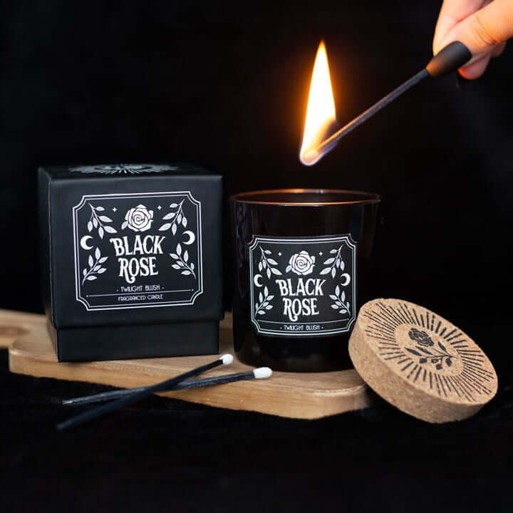 Black Rose Twilight Blush Candle N/A