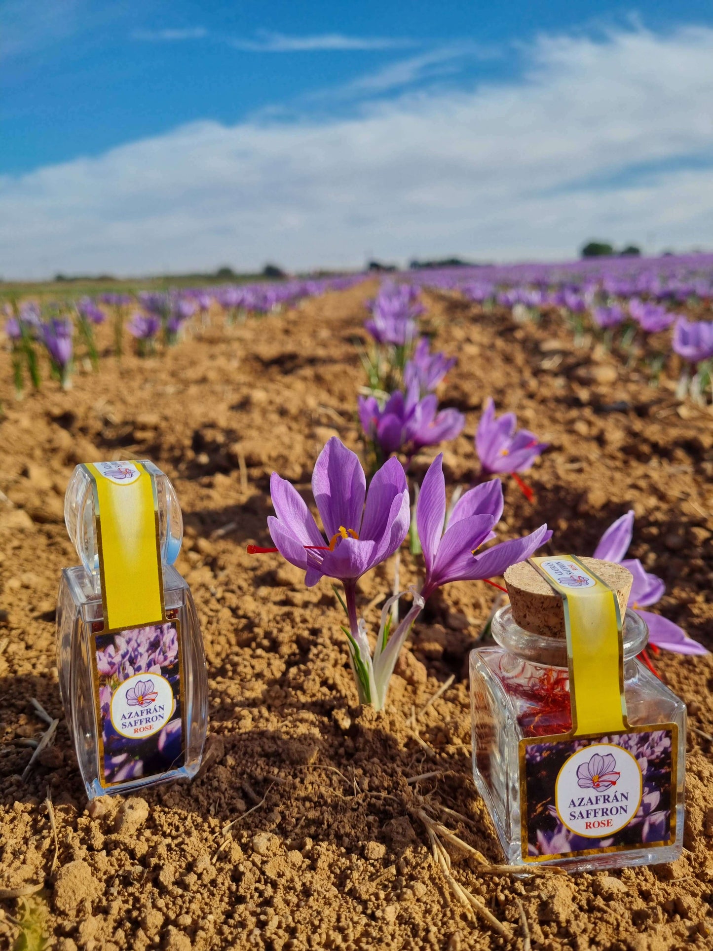 Select Saffron Threads – 1g Cork Glass Jar