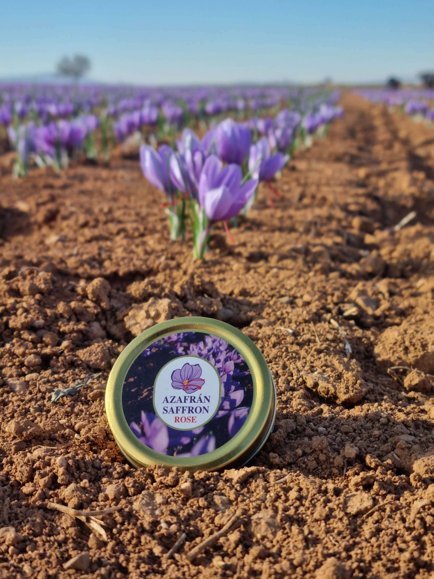 Spanish Saffron Threads 5g