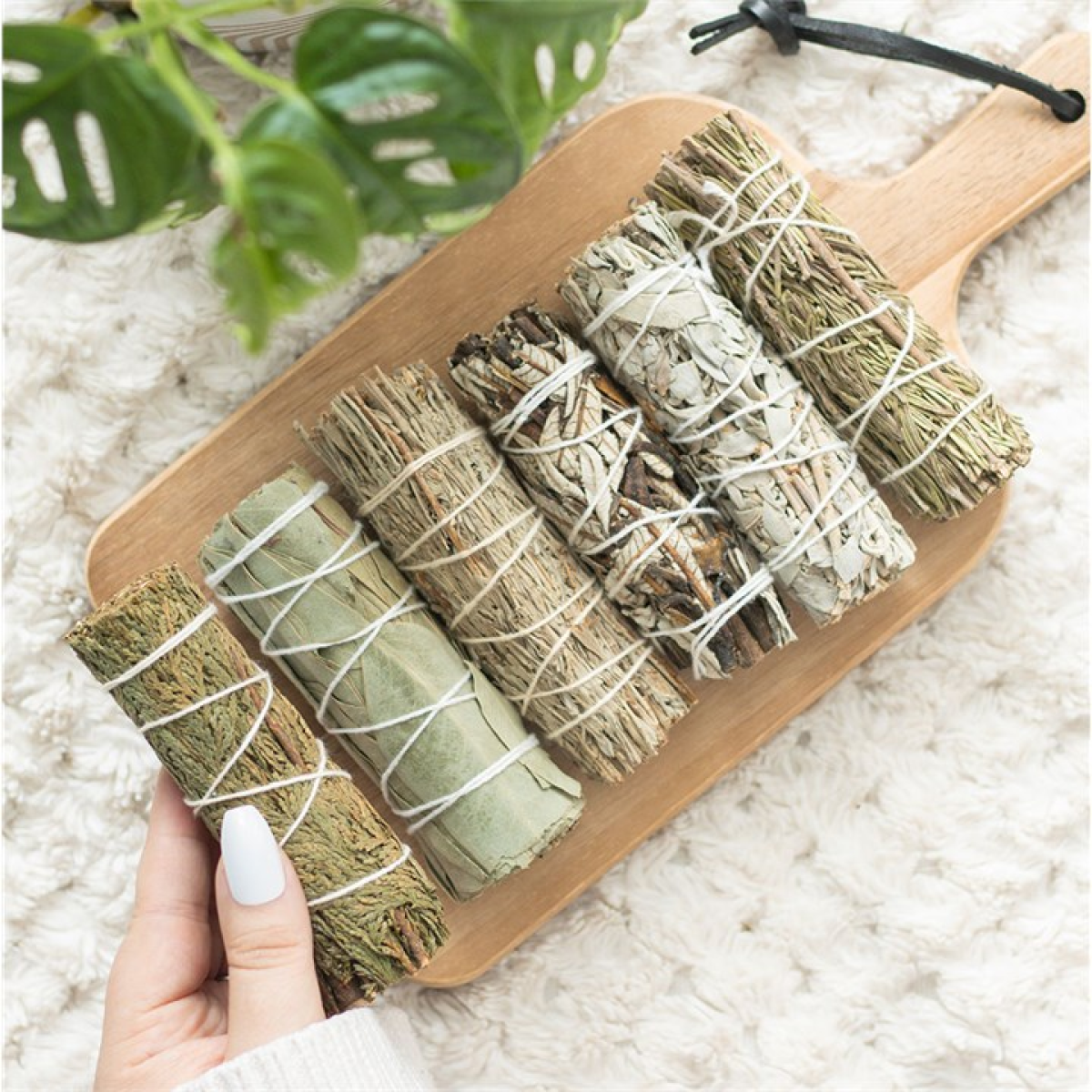 Sage Smudge Stick Variety Set N/A