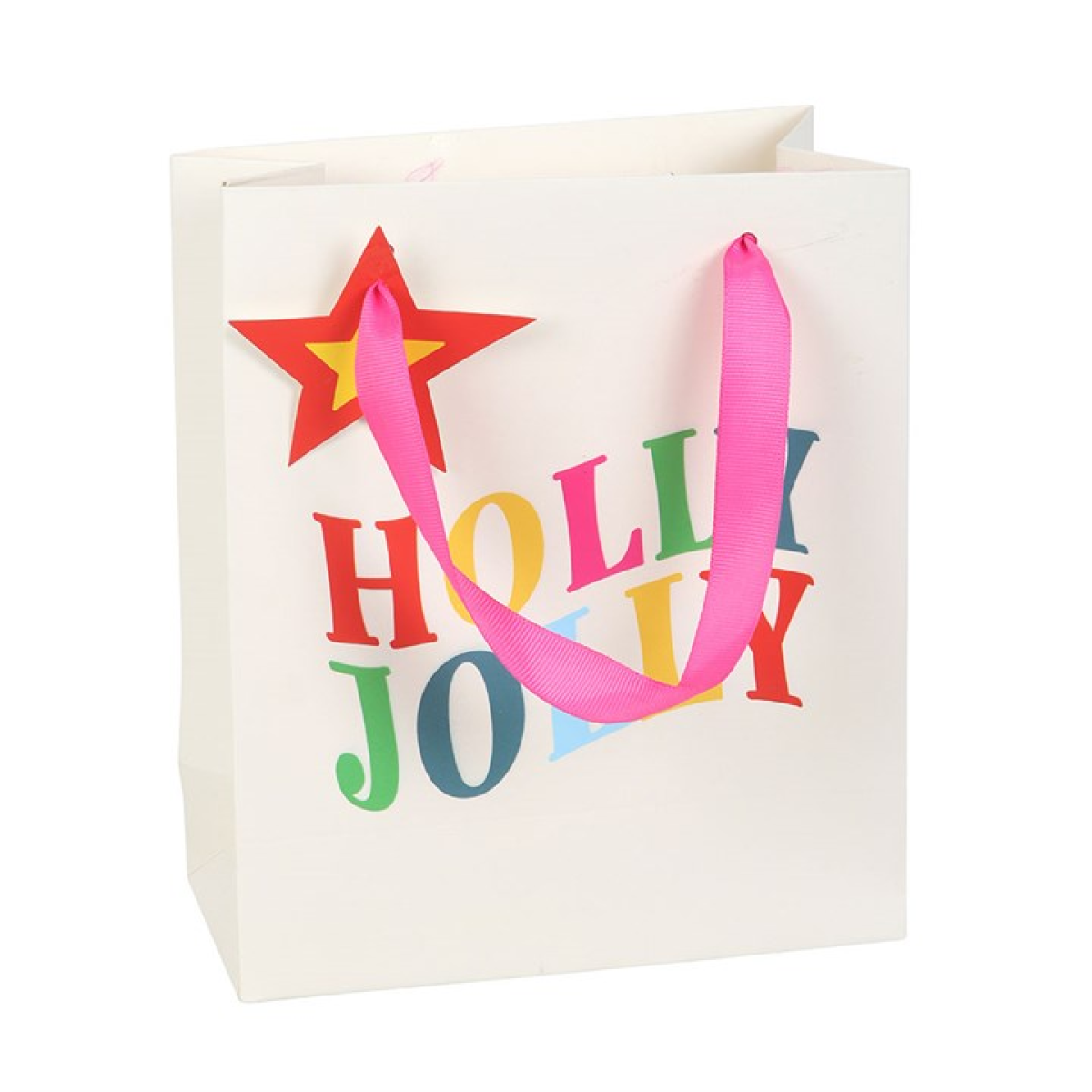 23cm Holly Jolly Gift Bag N/A