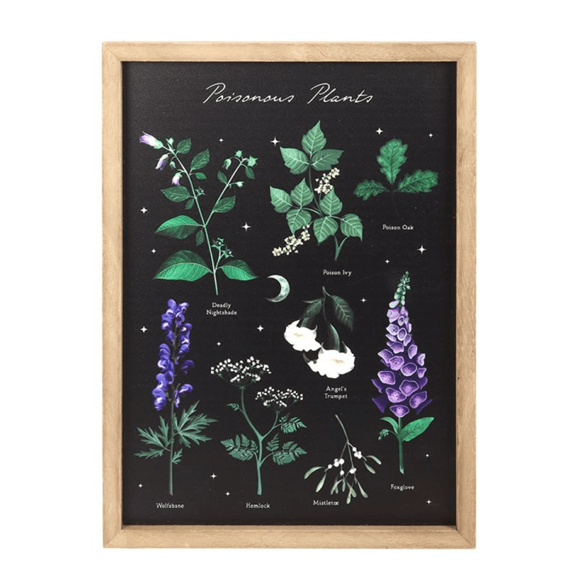 Framed poster of poisonous plants with a black background