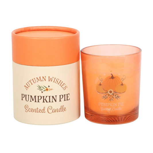 Autumn Wishes Pumpkin Pie Candle N/A