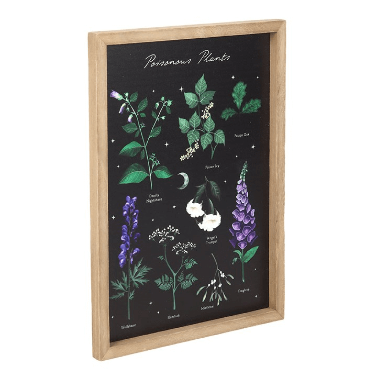 Framed botanical illustration of various plants on a black background