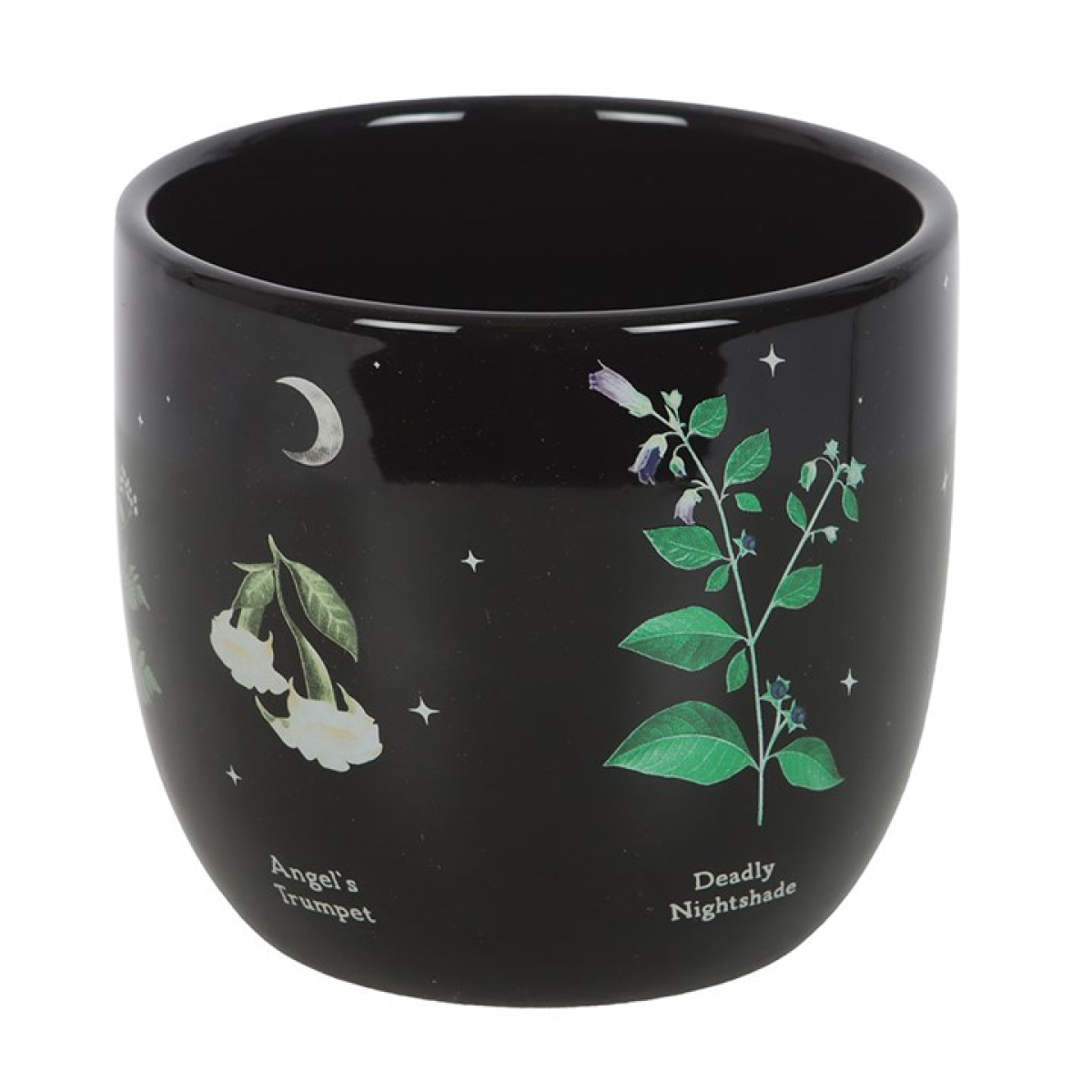 Poisonous Plants Plant Pot N/A