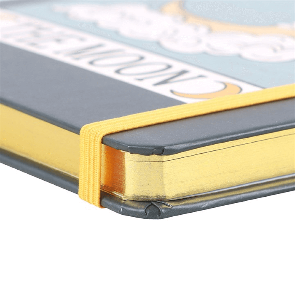 Close-up of a notebook with a gold binding on a white background