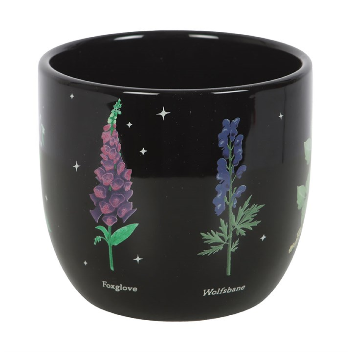 Poisonous Plants Plant Pot N/A