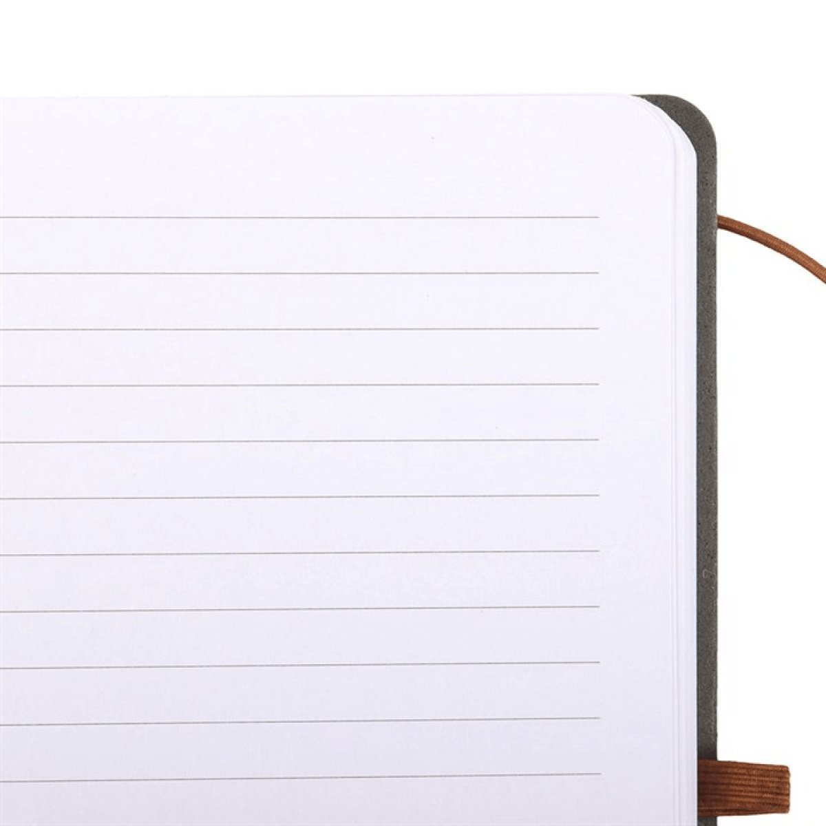 Close-up of a notebook with lined pages on a white background