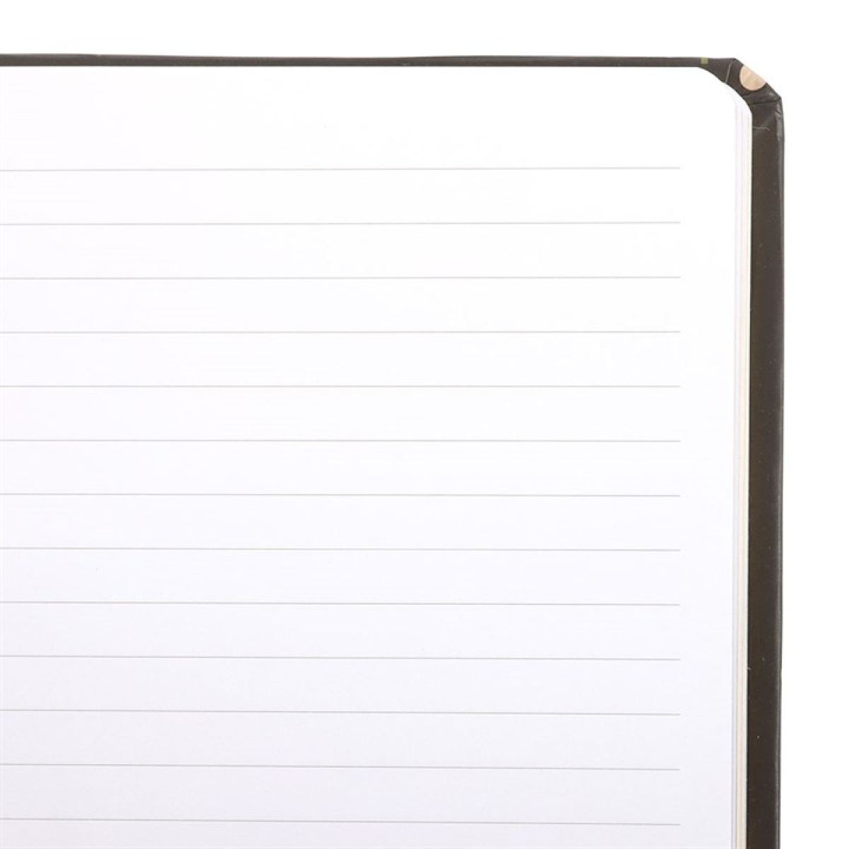 Midnight Bloom Print A5 Notebook N/A