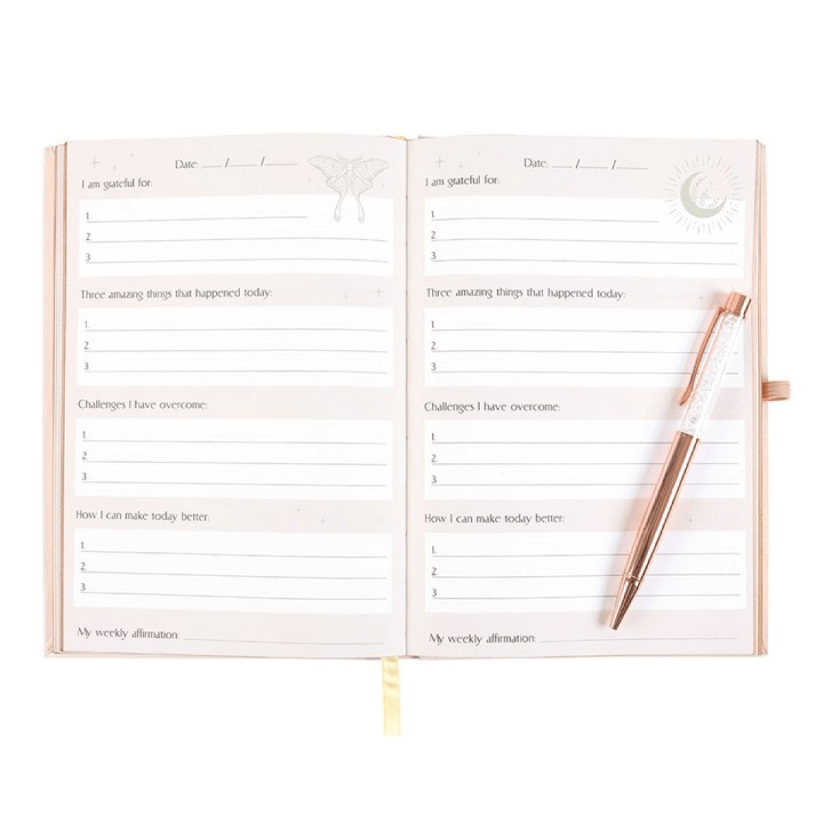 Open planner with daily and weekly sections and a pen on a white background