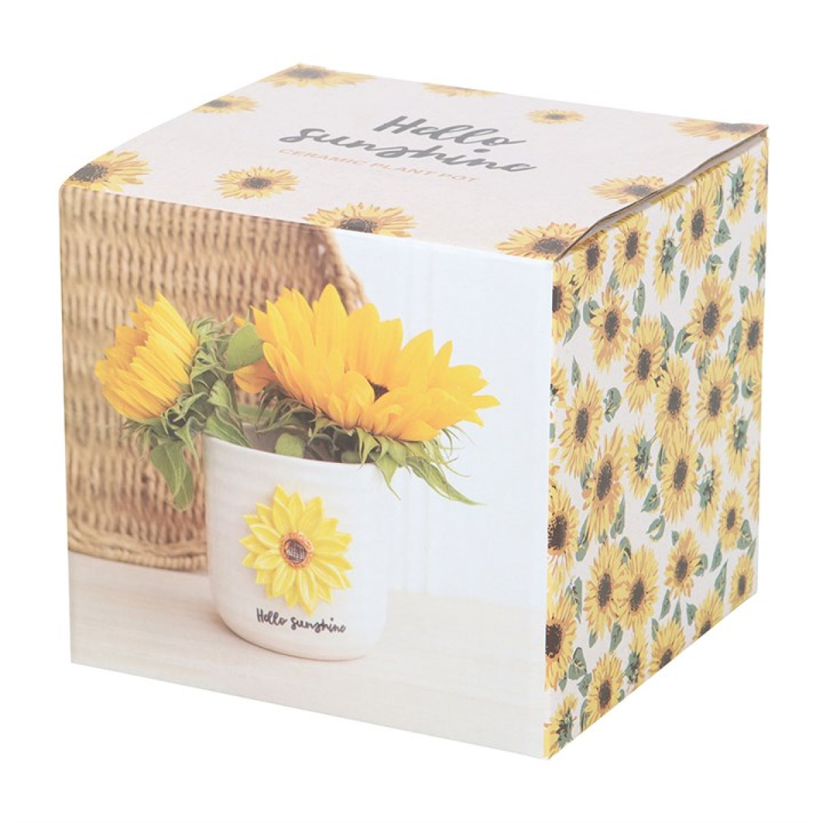 Hello Sunshine Plant Pot with 3D Sunflower N/A