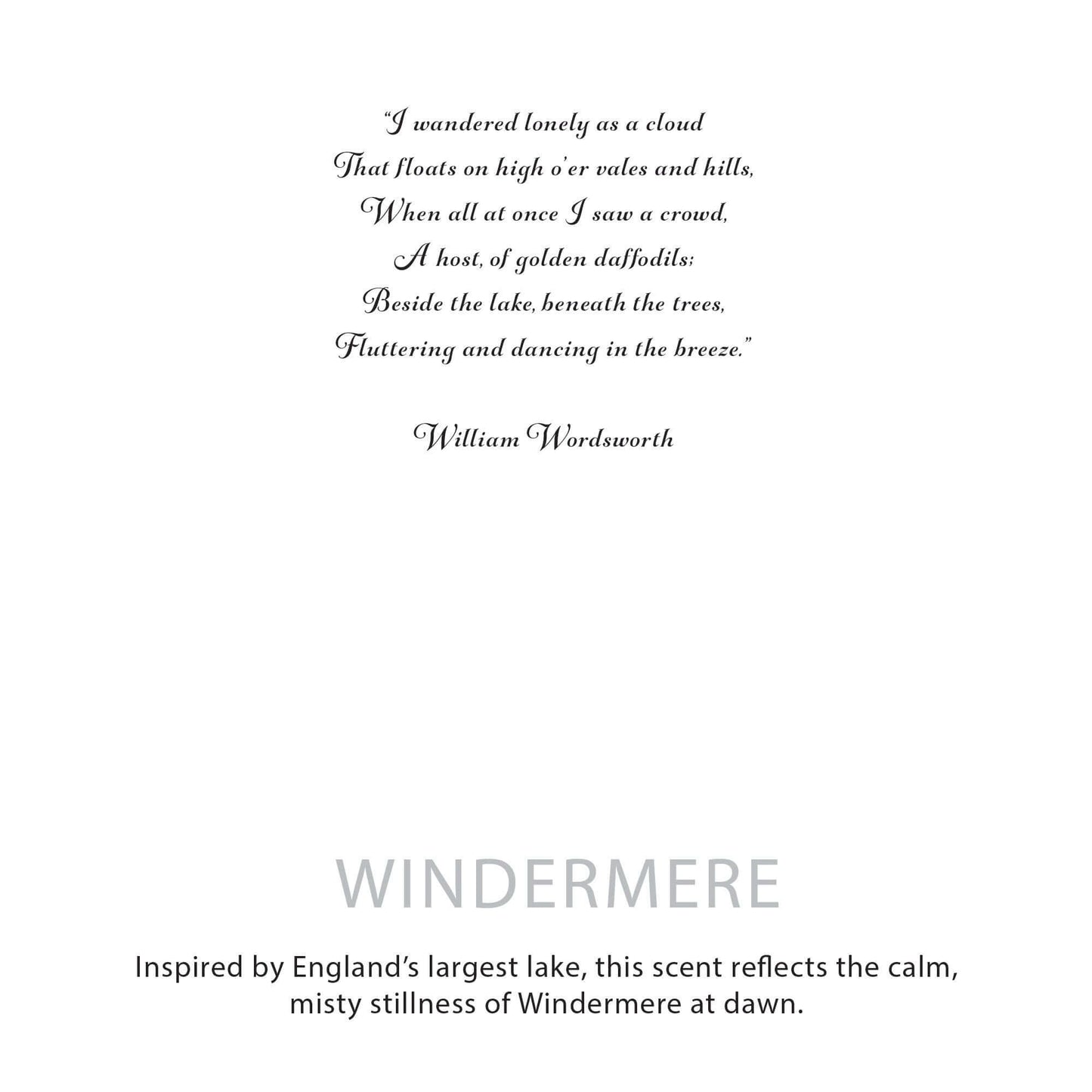 Agnes + Cat Botanical Soy Wax Candle - Windermere