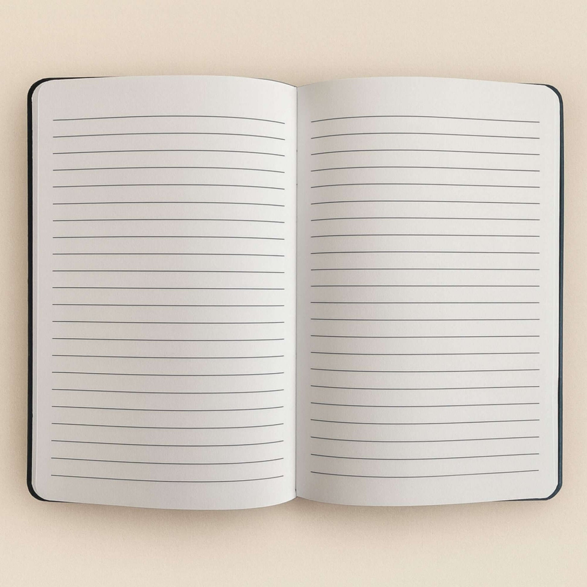 Black Velvet Notebook - 80 pages - Carpe Diem