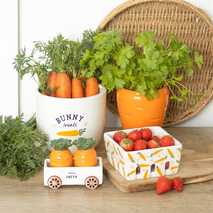 Carrot Salt and Pepper Shakers in Wagon-Sociodigi