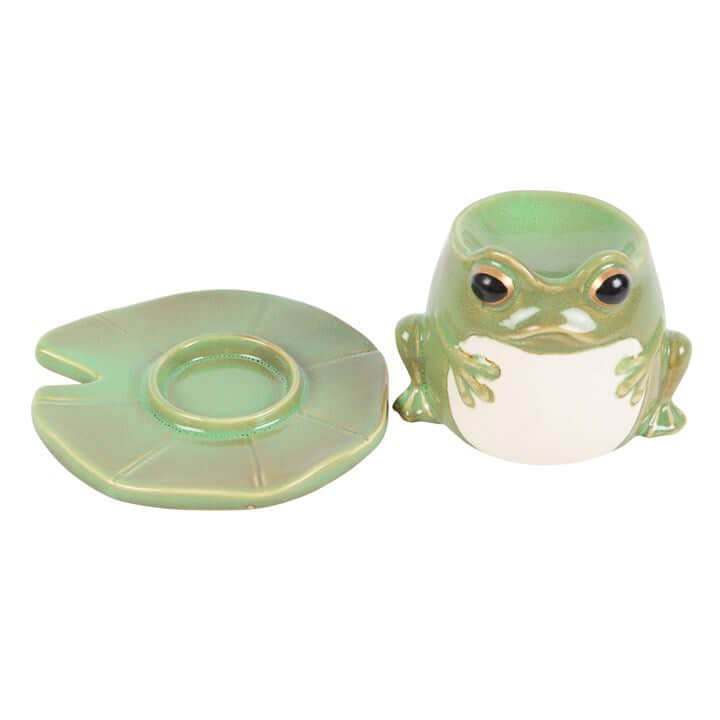 Frog-shaped container with a lid on a white background