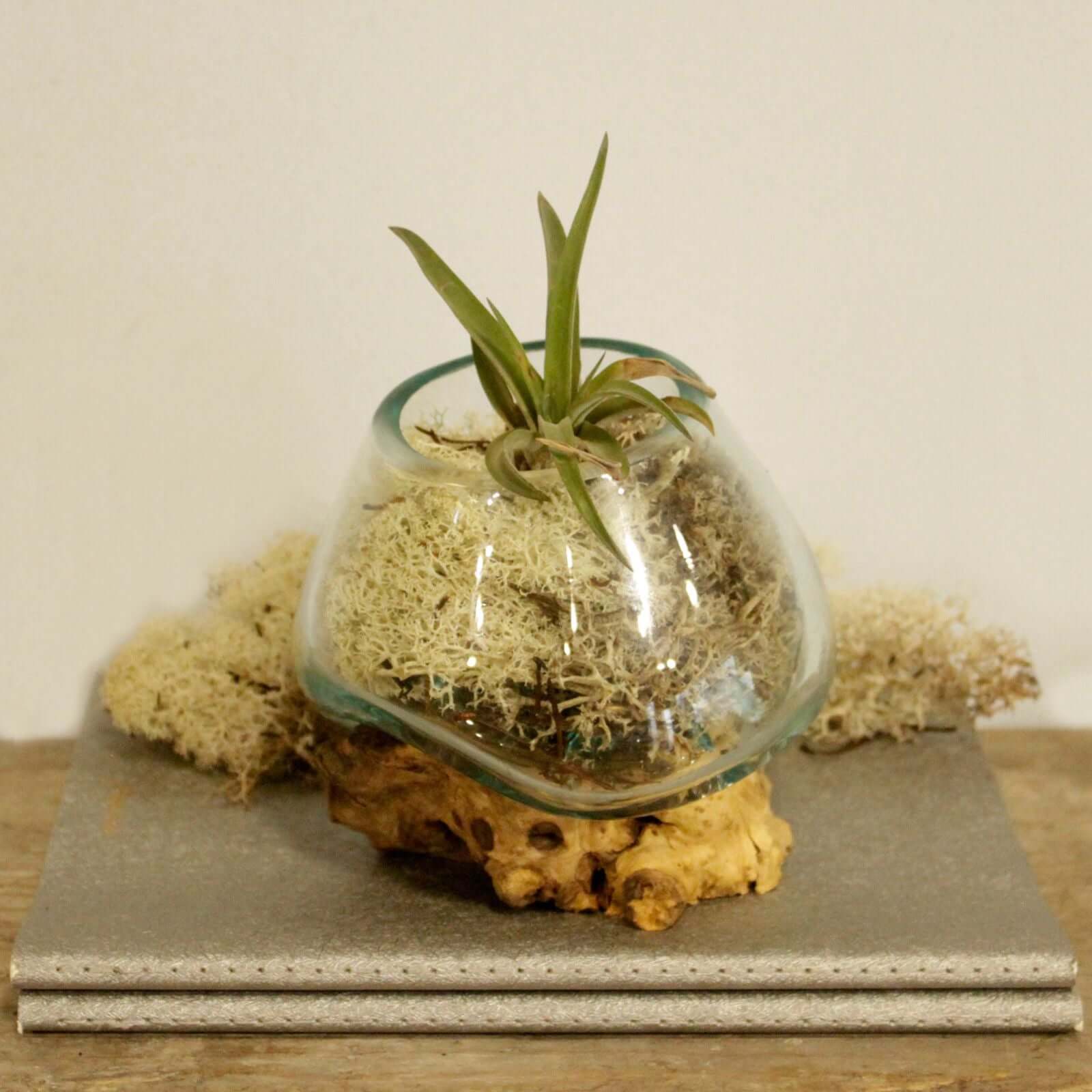 Molten Glass on Wood - Small Bowl