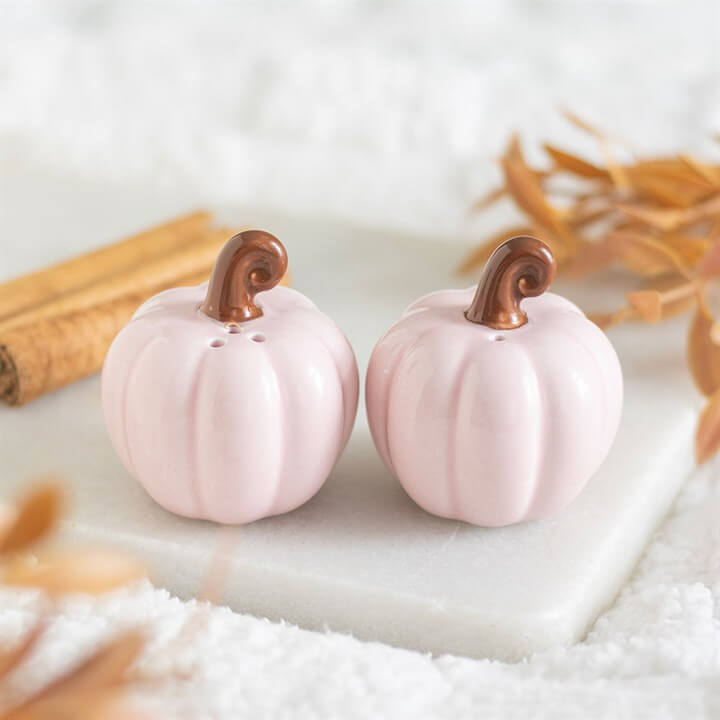 Pink Curly Pumpkin Salt and Pepper Shakers on a table with cinnamon sticks, adding a playful touch to autumn dining.
