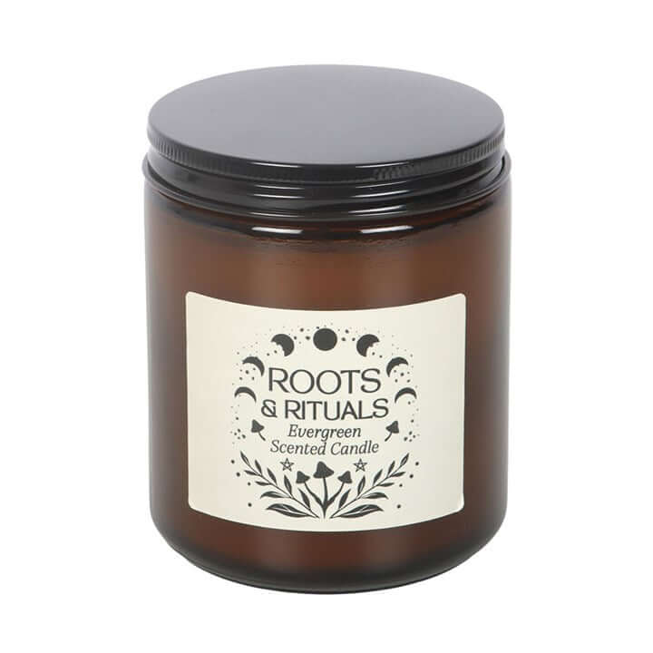 Roots And Rituals Evergreen Amber Glass Candle Paraffin Wax Forest Ambience