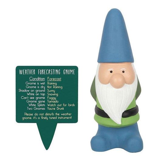 Large Weather Forecasting Gnome – Funny Garden Ornament-Sociodigi