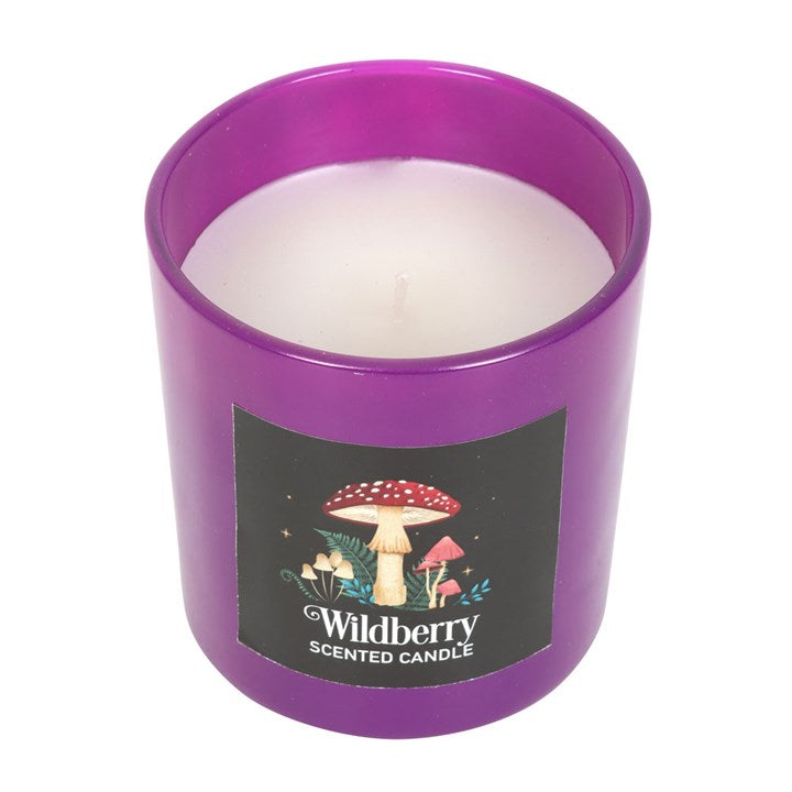 Forest Mushroom Wildberry Candle N/A