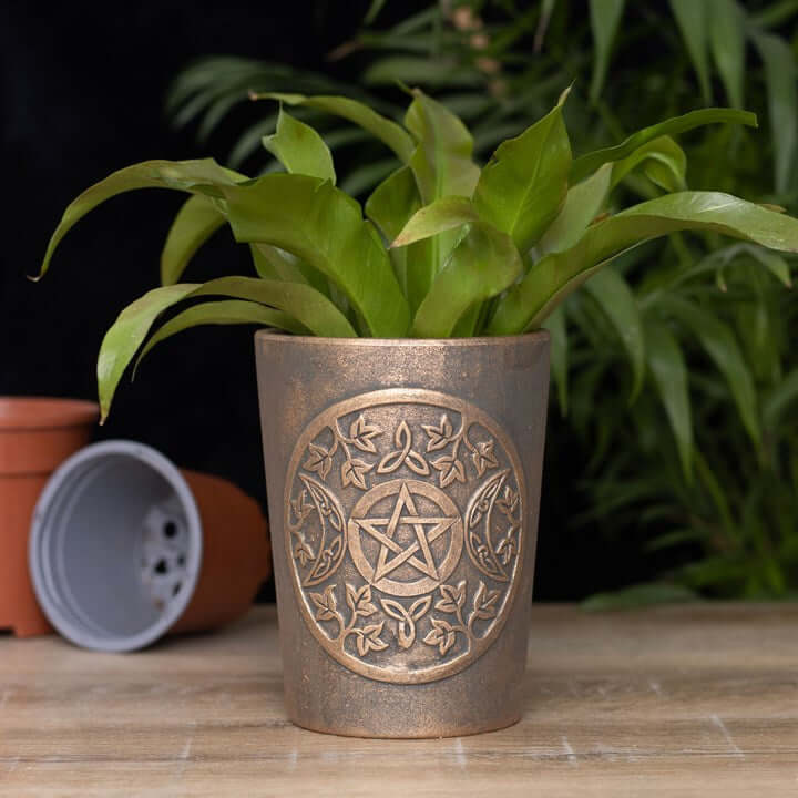 Bronze-colored pot with pentacle design on a wooden surface with plants in the background
