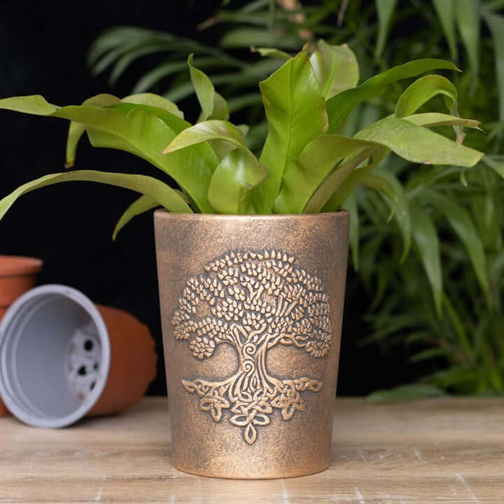 Bronze tree-patterned pot with a green plant on a wooden surface