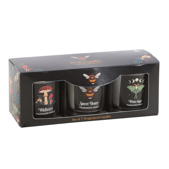 Dark Forest Votive Candle Trio N/A