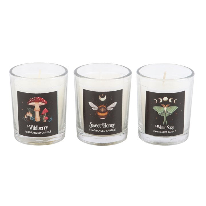 Dark Forest Votive Candle Trio N/A