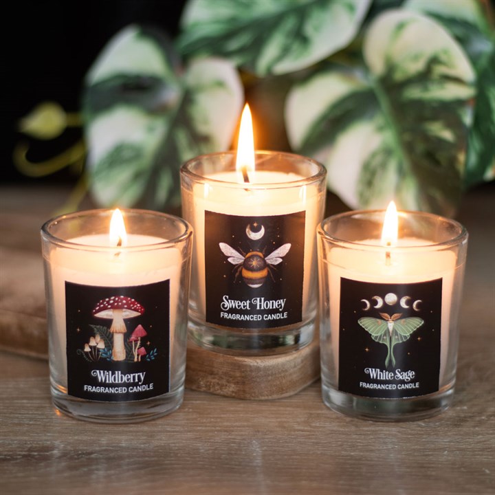 Dark Forest Votive Candle Trio N/A