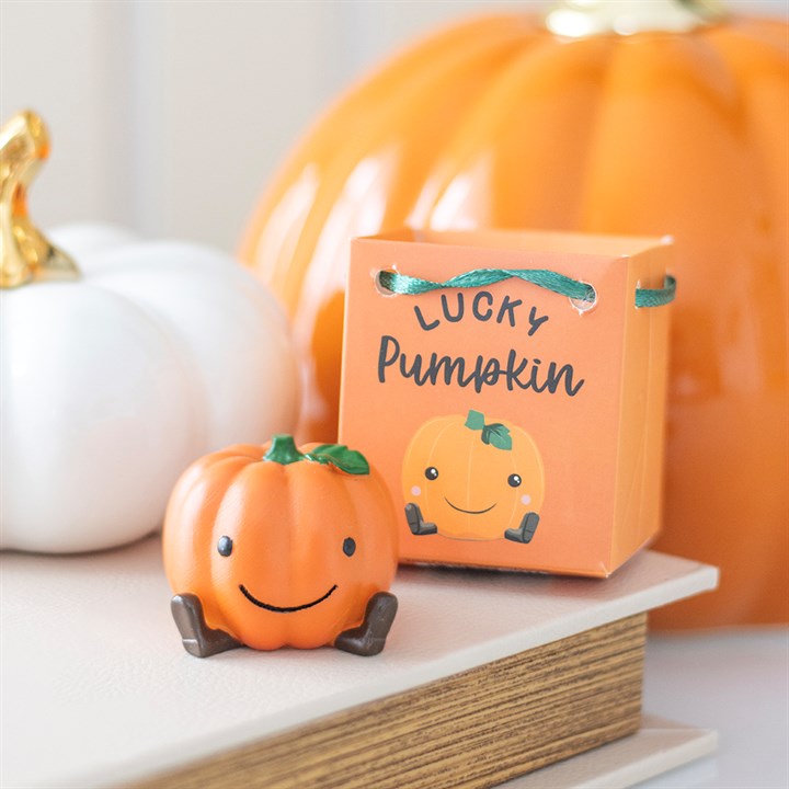 Set of 16 Cute Lucky Pumpkin Ornaments with Display – Halloween Favour Décor-Sociodigi