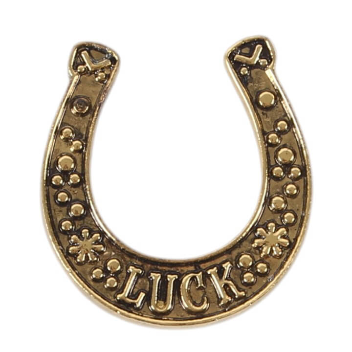 Set of 24 Lucky Horseshoe Token Gifts in Display
