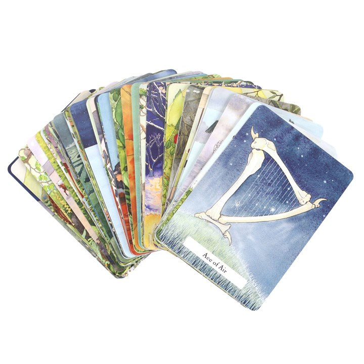 The Witches' Wisdom Tarot Cards – Standard Edition-Sociodigi