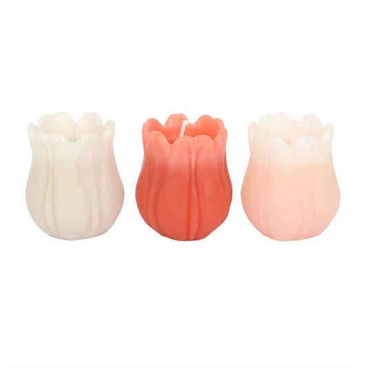 Set of 3 Tulip Shaped Candles N/A
