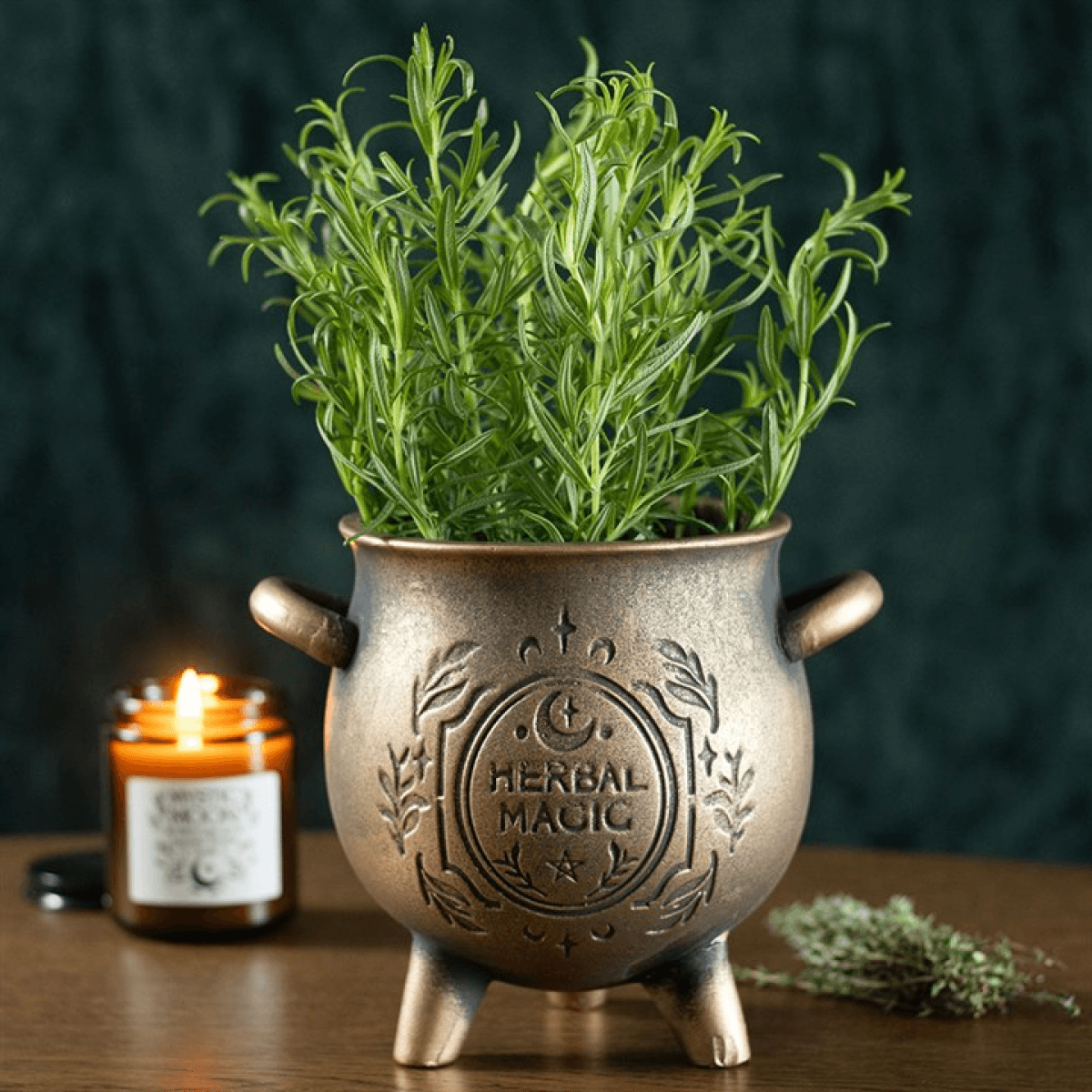 Herbal Magic Bronze Effect Terracotta Cauldron Plant Pot N/A