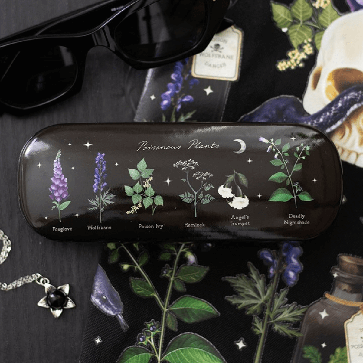 Black glasses case with botanical illustrations on a dark background