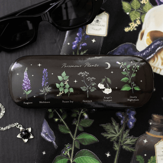 Black glasses case with botanical illustrations on a dark background