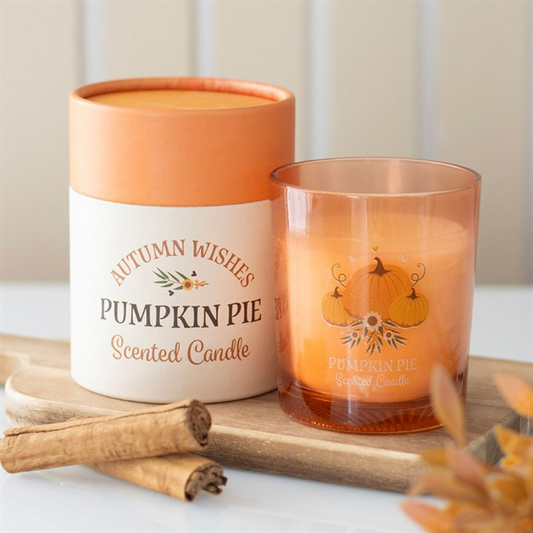Autumn Wishes Pumpkin Pie Candle N/A
