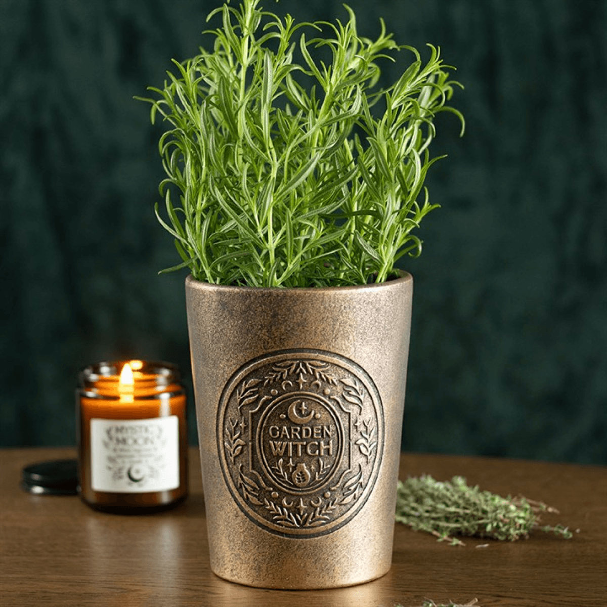 Garden Witch Bronze Effect Terracotta Plant Pot N/A