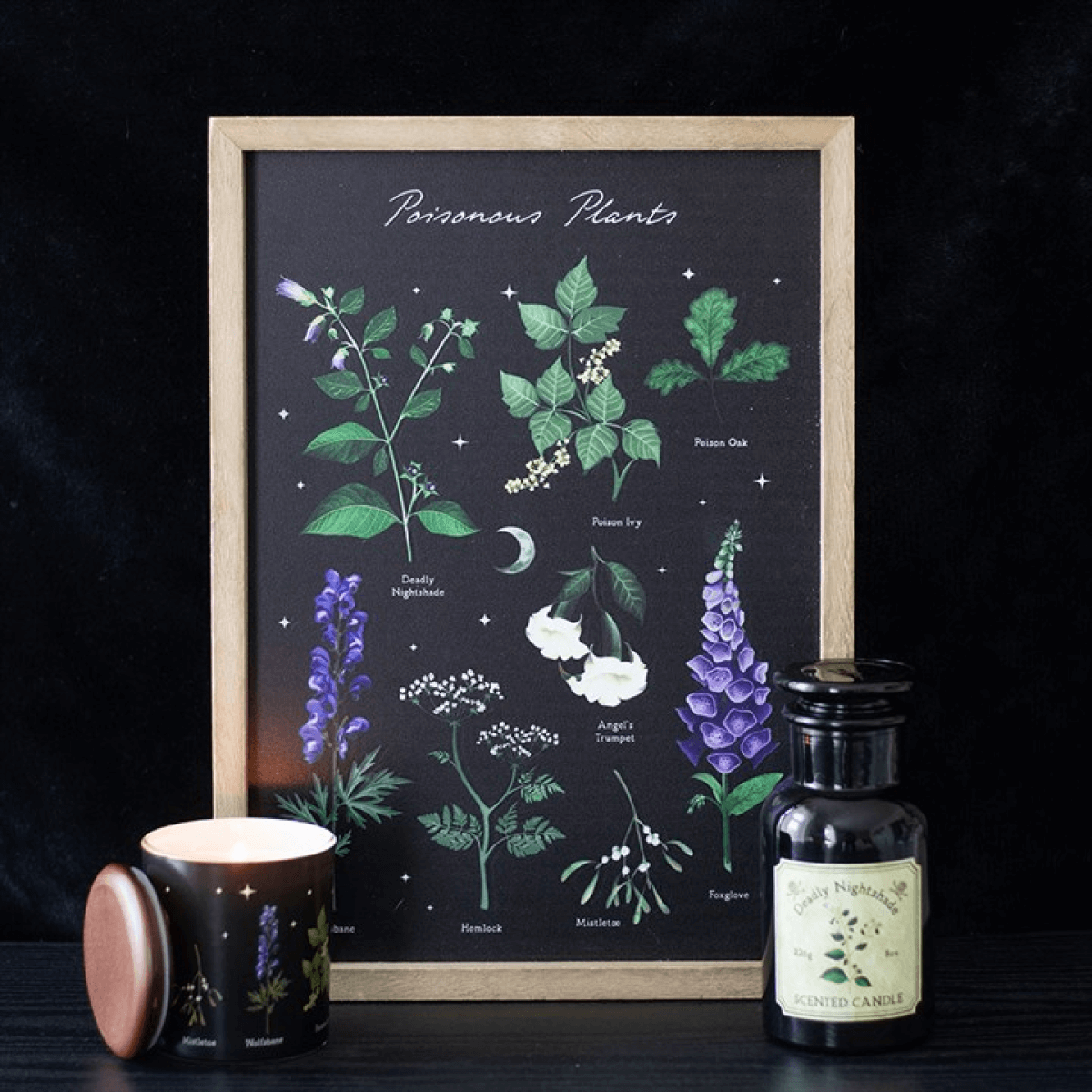 Framed botanical print of poisonous plants with a candle and bottle on a dark background