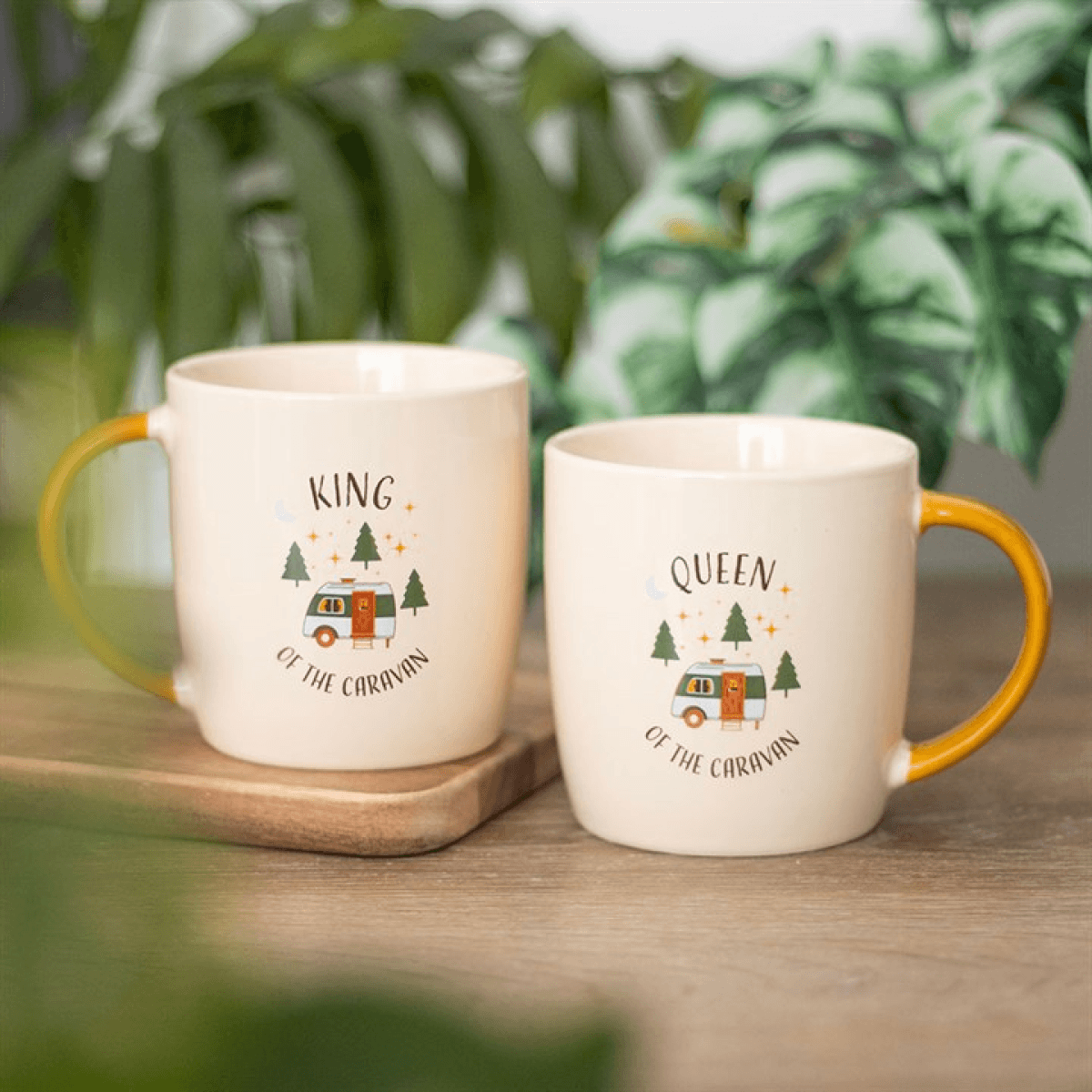 Camping King and Queen Couples Mug Set N/A